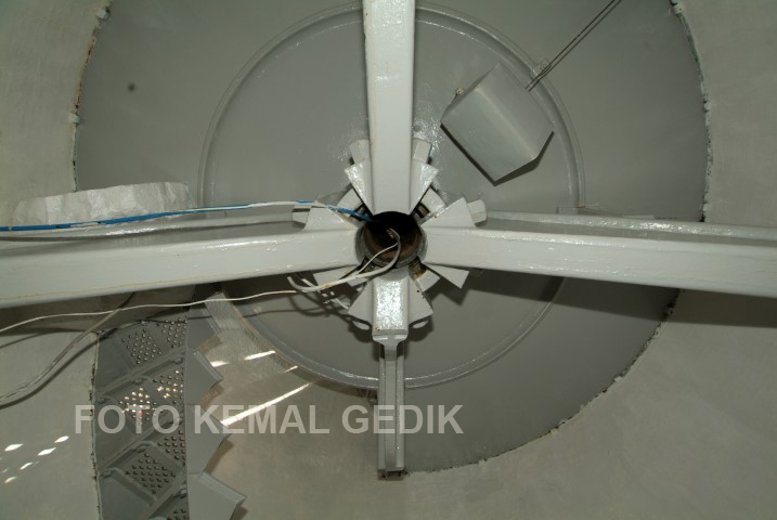 photo3.jpg