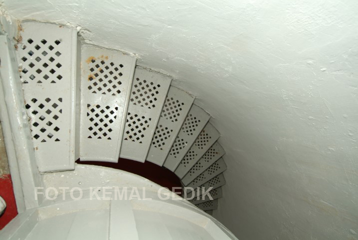 photo3.jpg