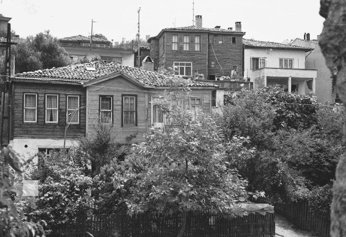 photo3.jpg